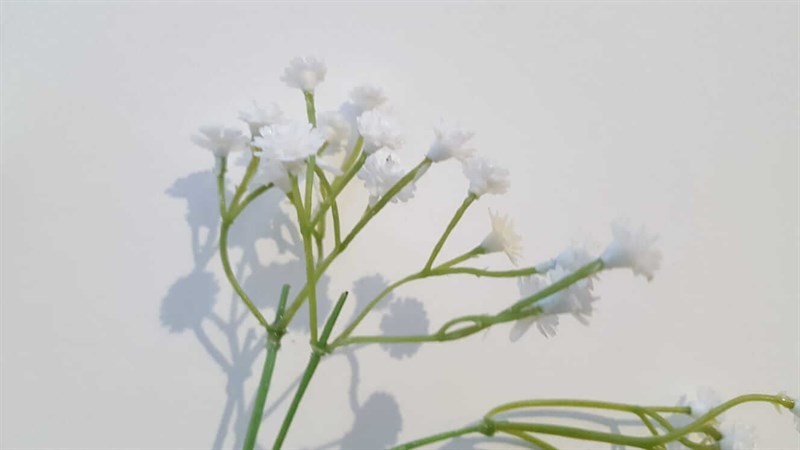 MON JARDİN - MON JARDİN CİPSO