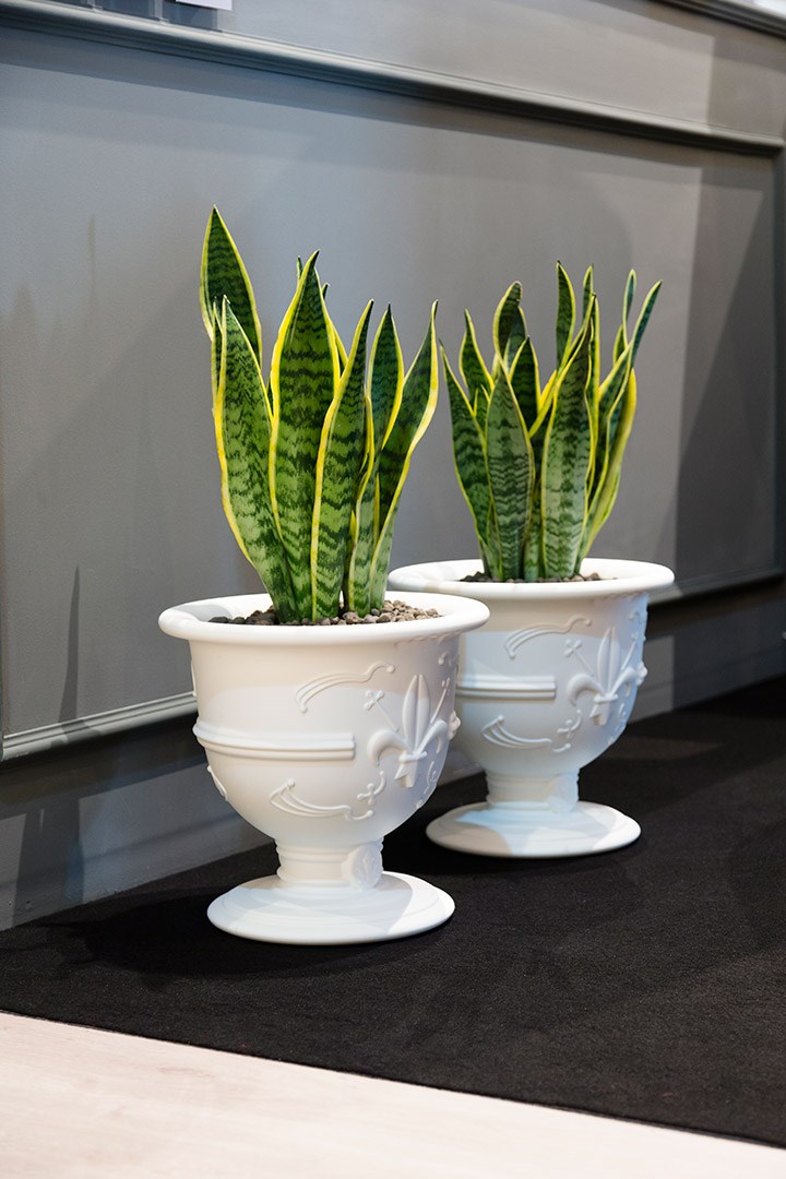 Slide Design - Pot Of Love Toz Mavi