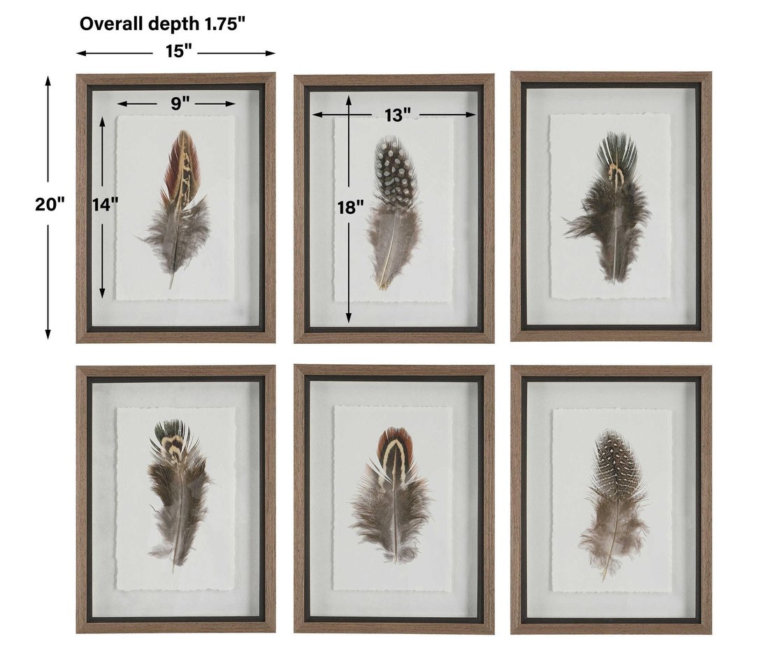Uttermost - Uttermost Birds Of A Feather Framed Prints