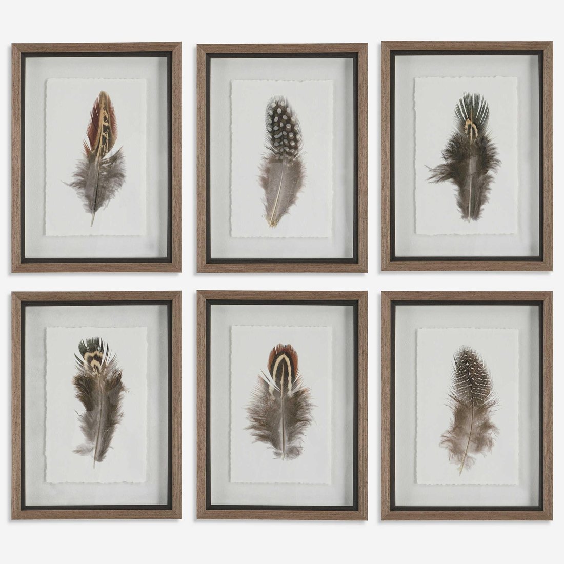 Uttermost - Uttermost Birds Of A Feather Framed Prints
