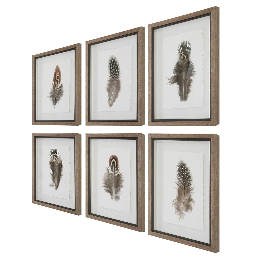 Uttermost - Uttermost Birds Of A Feather Framed Prints