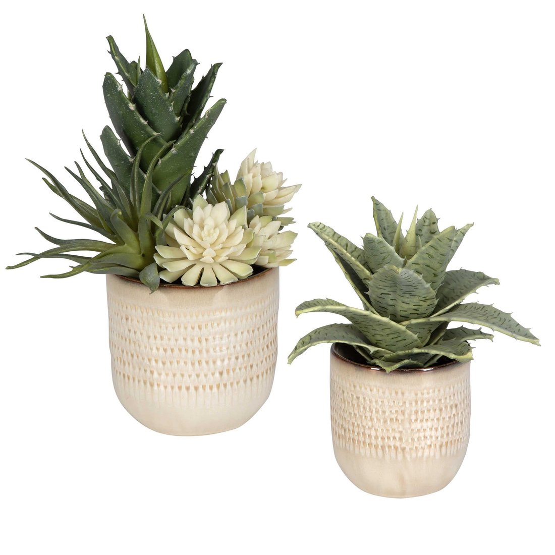 Uttermost - Uttermost Seaside Succulents