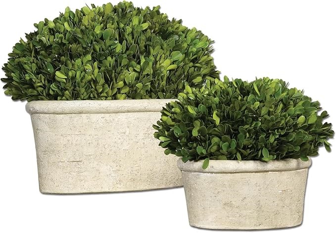 Uttermost - Uttermost Uttermost Preserved Boxwood Oval Domes Dekoratif Bitki 2'Li Set