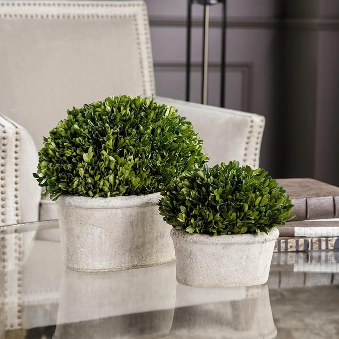 Uttermost - Uttermost Uttermost Preserved Boxwood Oval Domes Dekoratif Bitki 2'Li Set