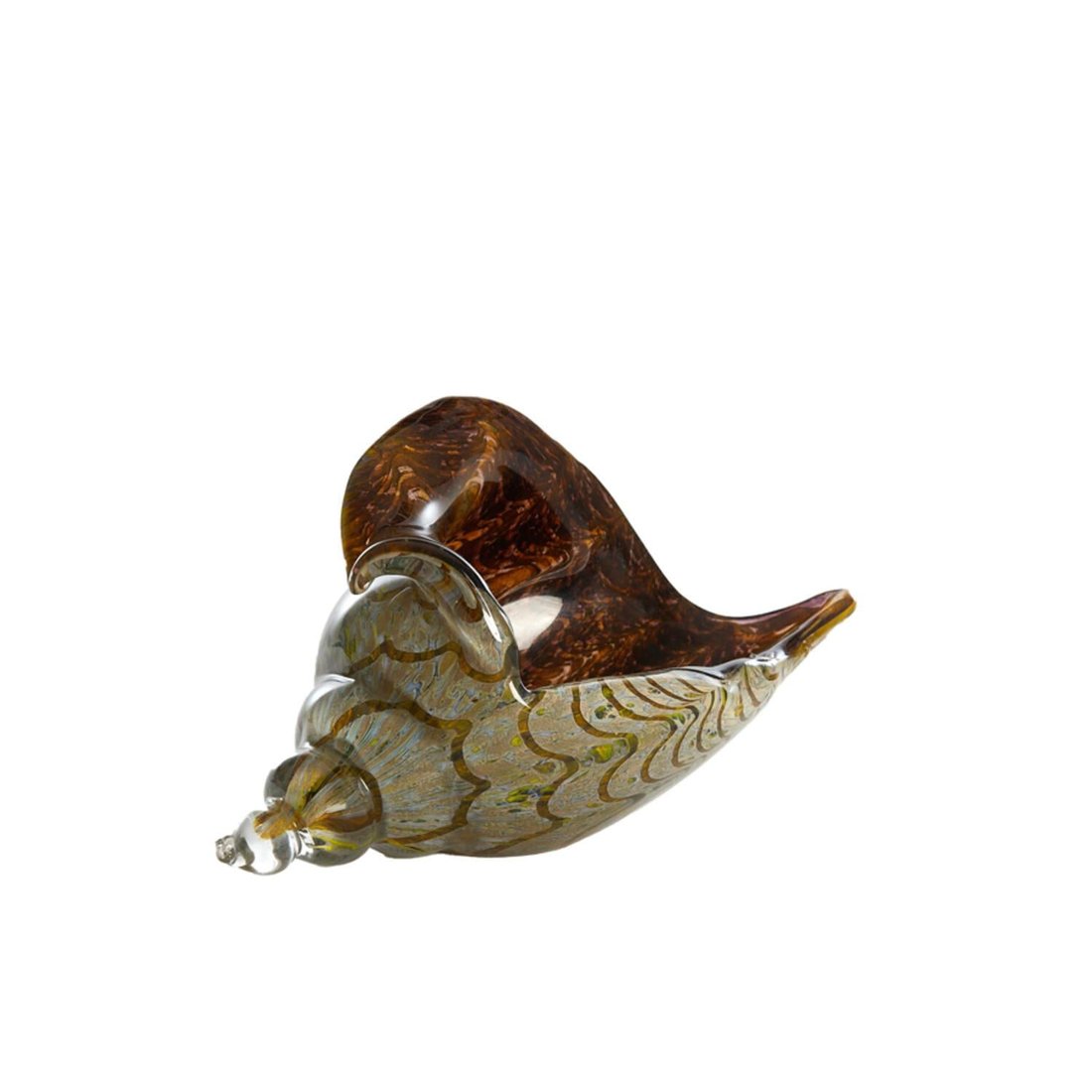 Shell Glass