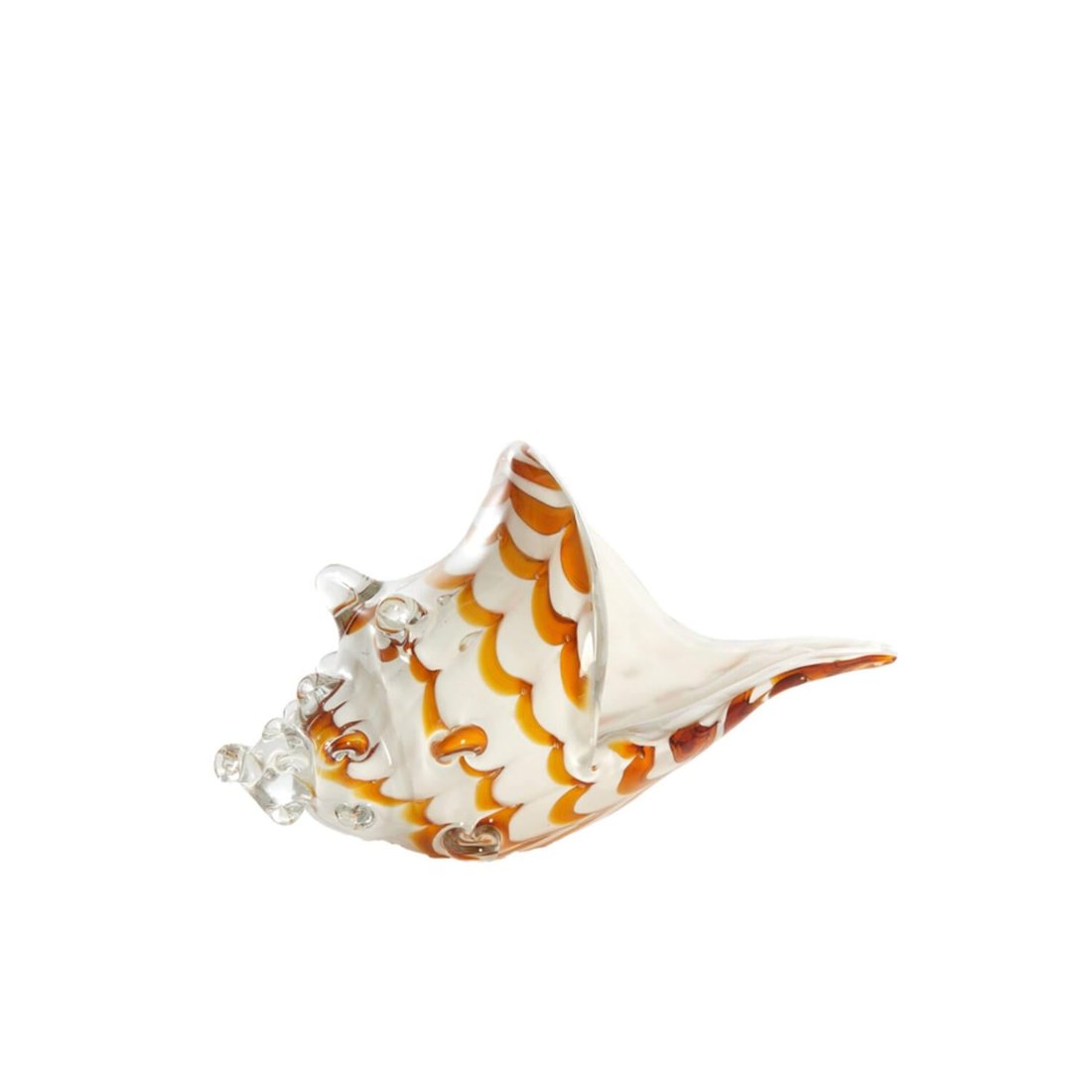 Shell Glass 