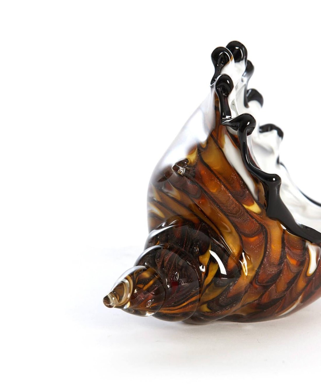 Shell Glass