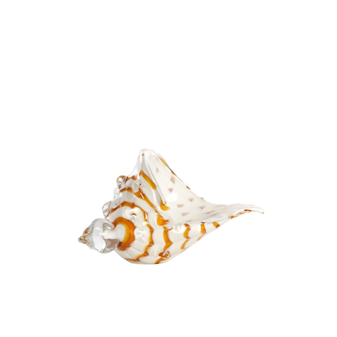 Shell Glass
