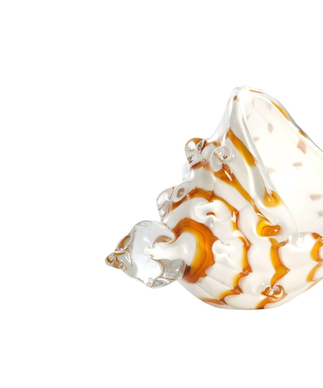 Shell Glass
