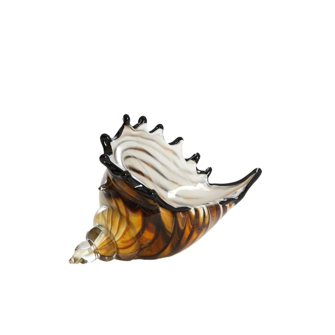 Shell Glass