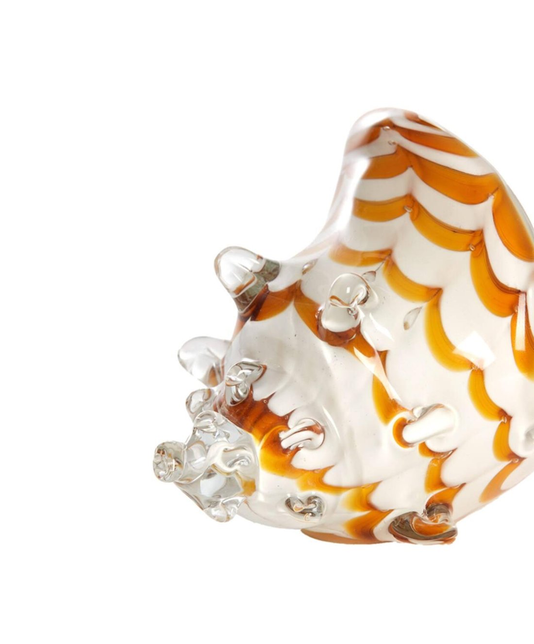 Shell Glass
