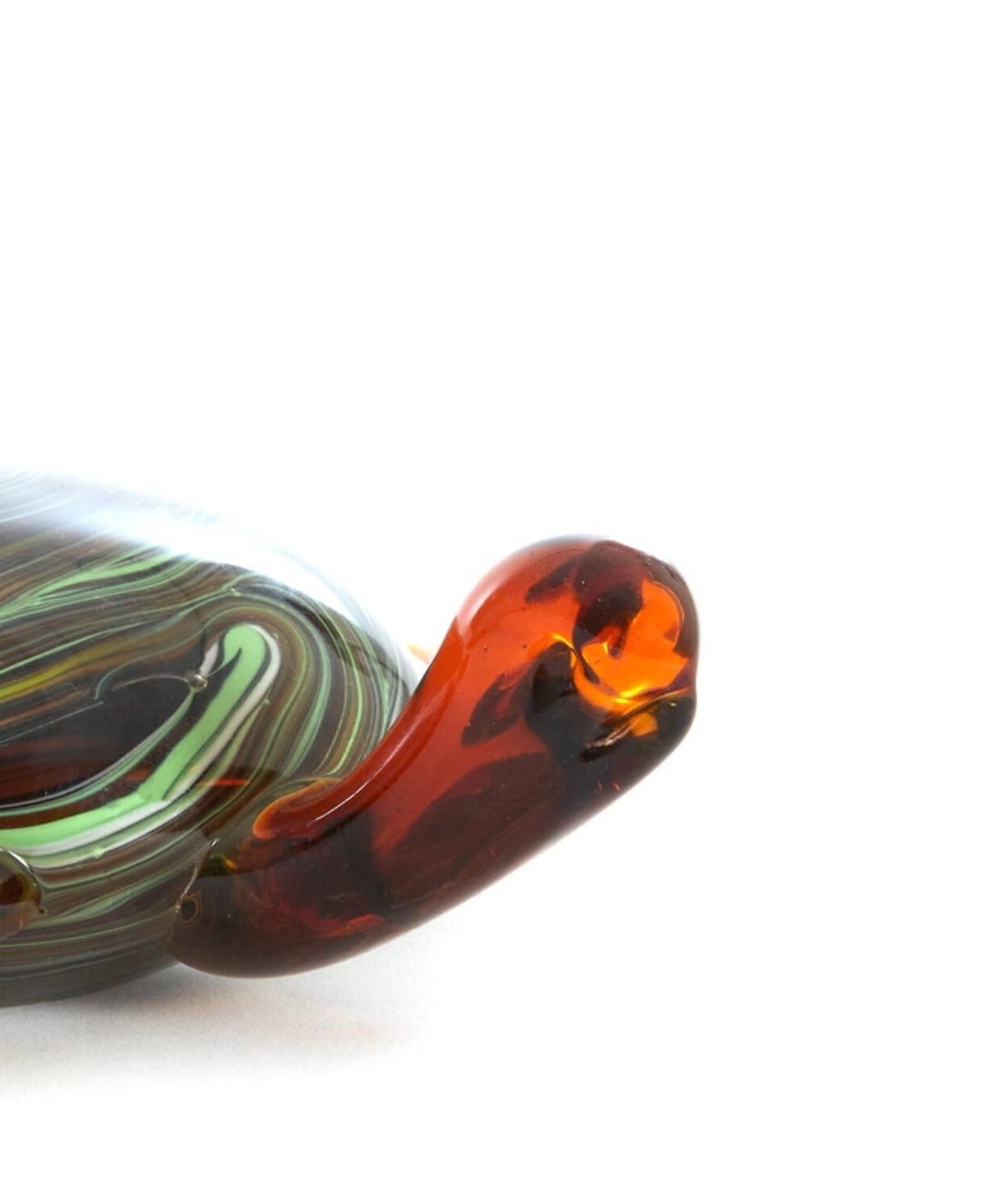 Turtle Glass