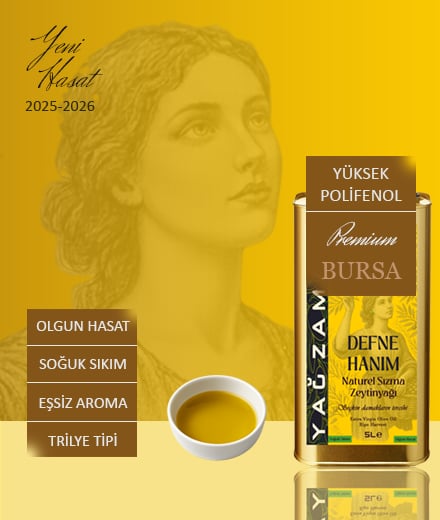 5 Litre Olgun Hasat Naturel Sızma Zeytinyağı