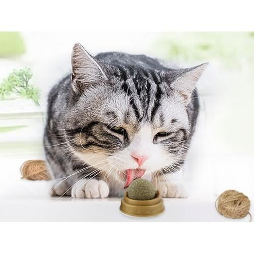 Kedi Nanesi (Catnip) Oyun Topu