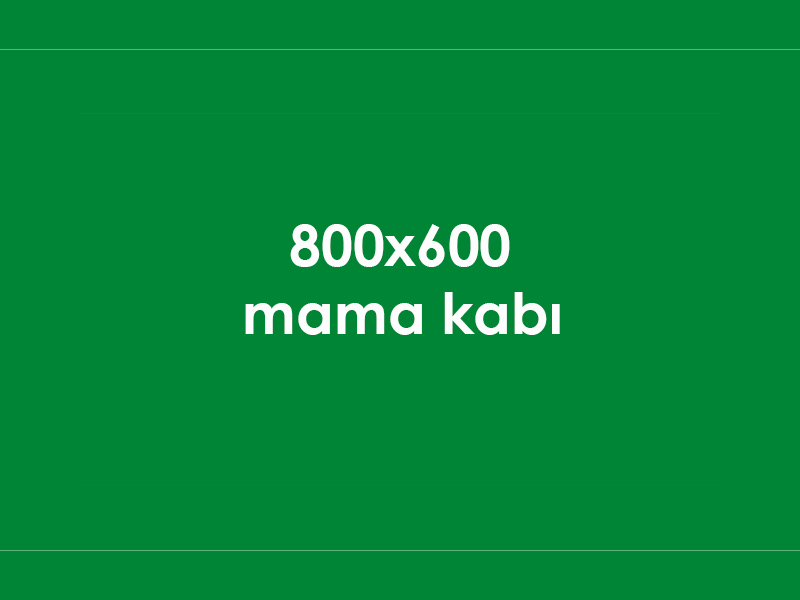Köpek Mama Kabı Çelik