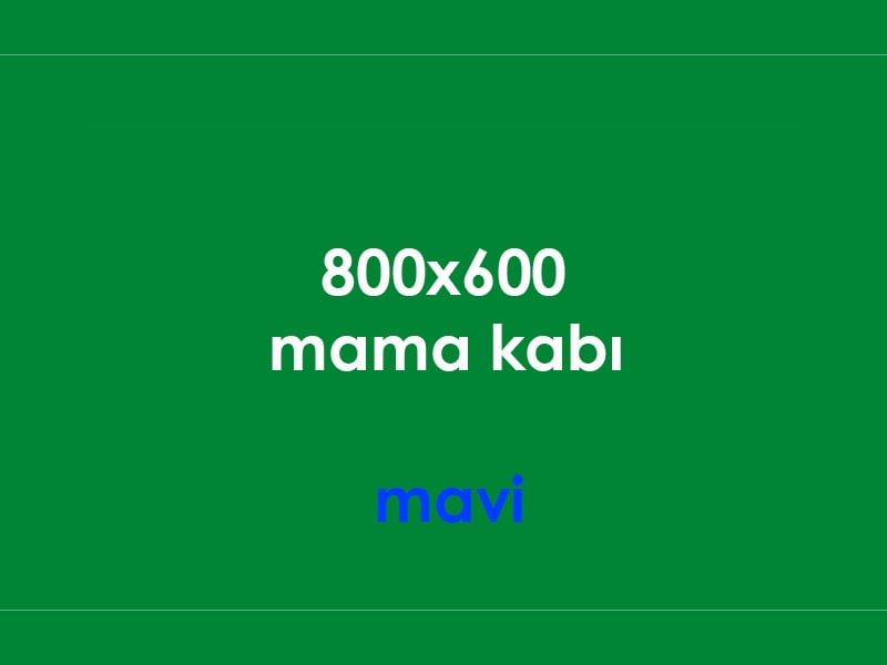 kopek mama kabı mavi