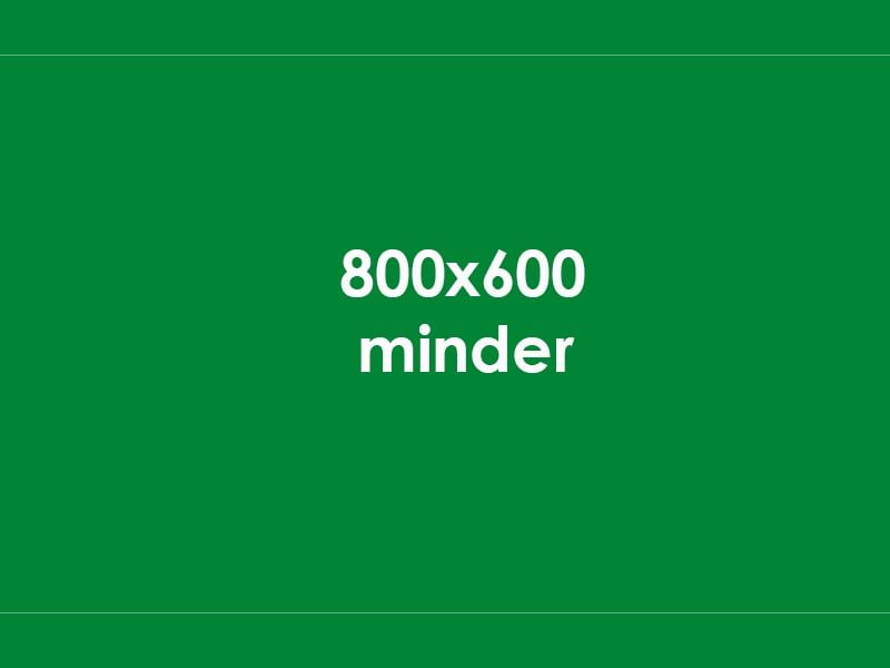 Köpek Yatak ve Minderleri