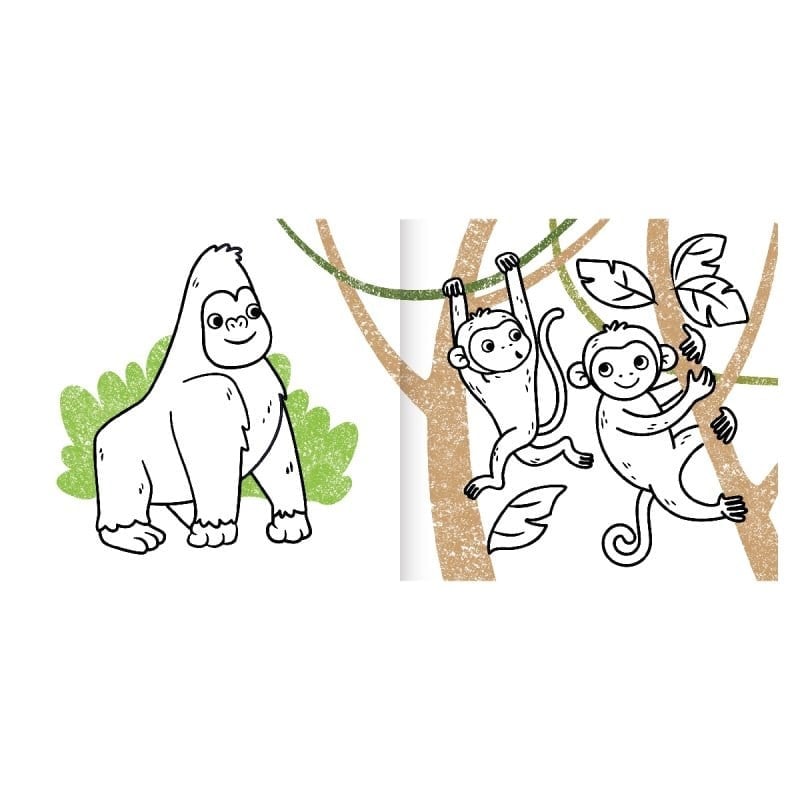 Boyama Zamanı - Safari