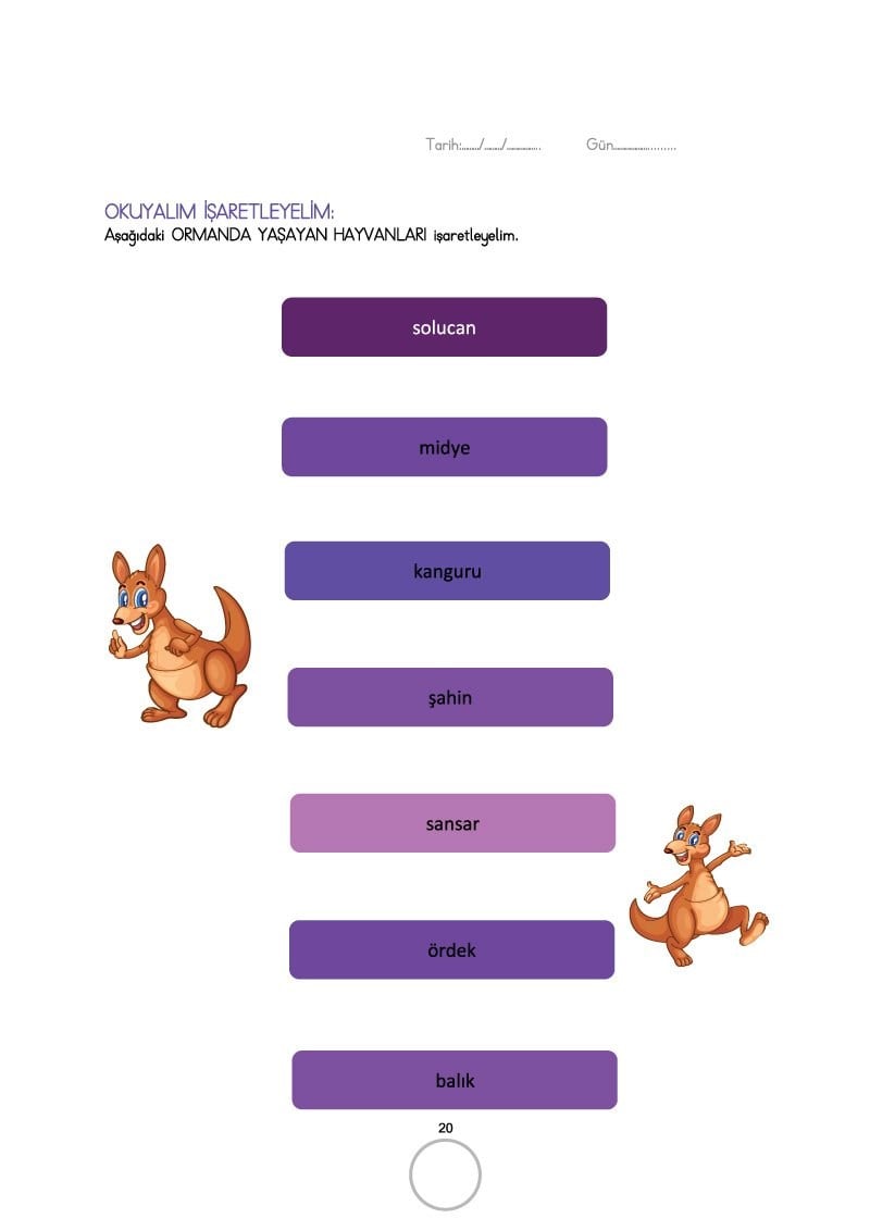 Duyumarket Dikkat Ediyorum Okuduğumu Anlıyorum- Okuma Ve Anlama Çalışmaları Kitabı