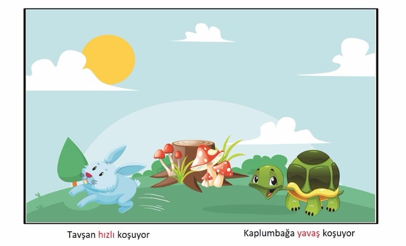 Duyumarket Speech Academy Kavram Öğretim Seti