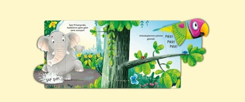 Eolo Aç Bak Serisi – Orman