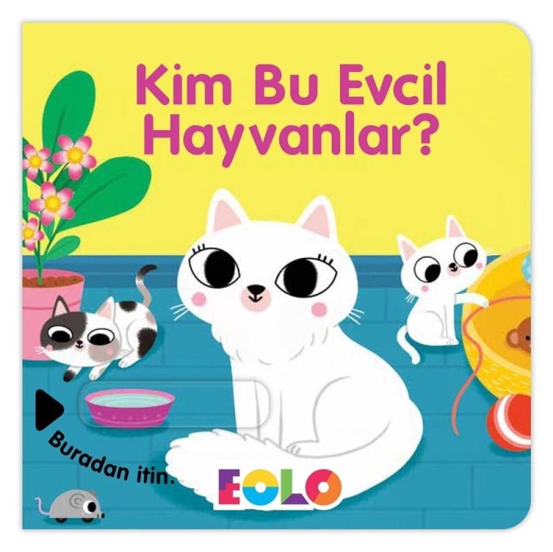 Eolo Kim Bu Evcil Hayvanlar?