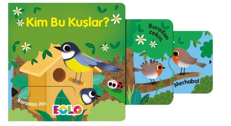 Eolo Kim Bu Kuşlar?