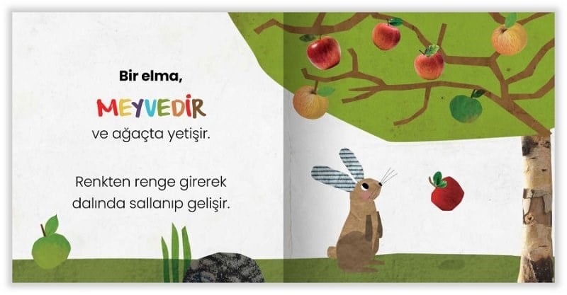 Eolo Oyunbaz Öyküler - Bir Elma