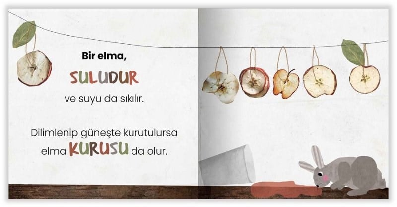 Eolo Oyunbaz Öyküler - Bir Elma