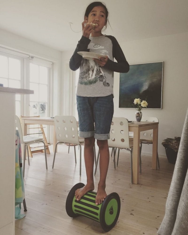 Gonge Silindir - Roller 2266
