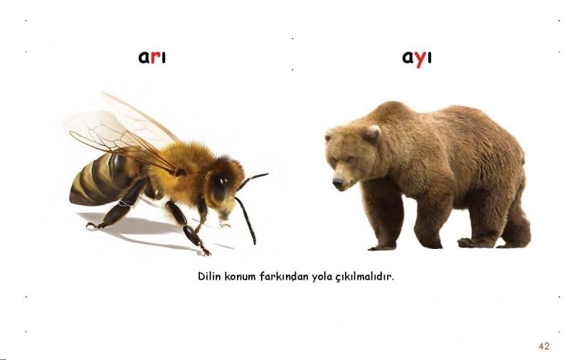 İşitme Konuşma Farkındalık Seti