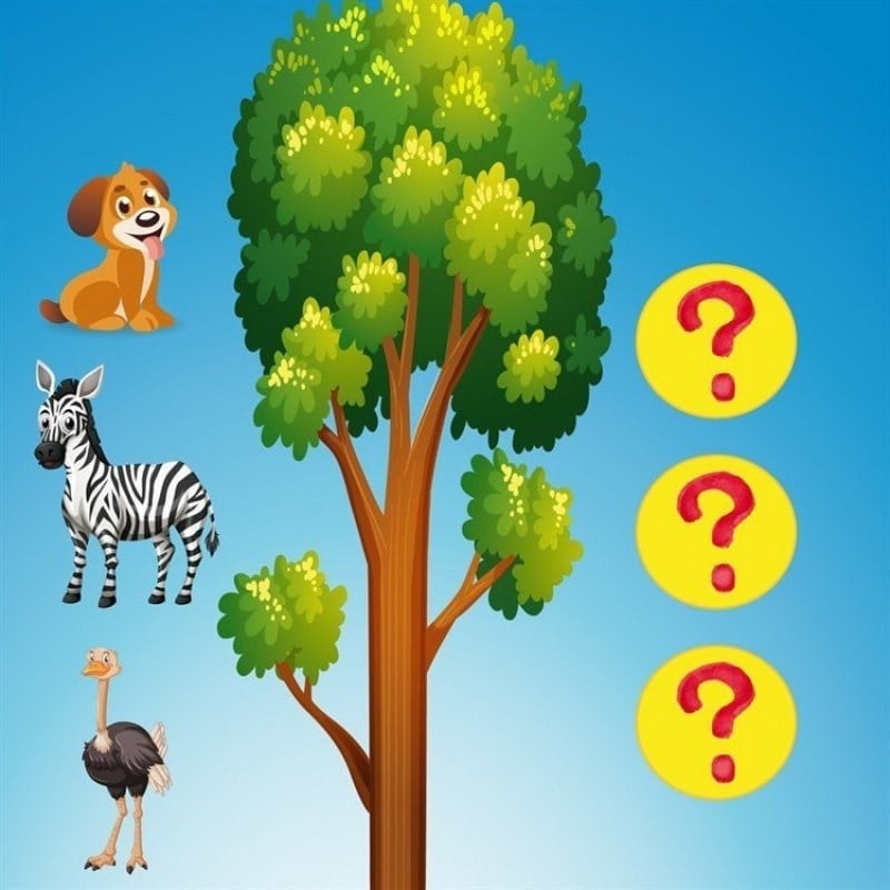 Math Forest En Eğlenceli Matematik Oyunu