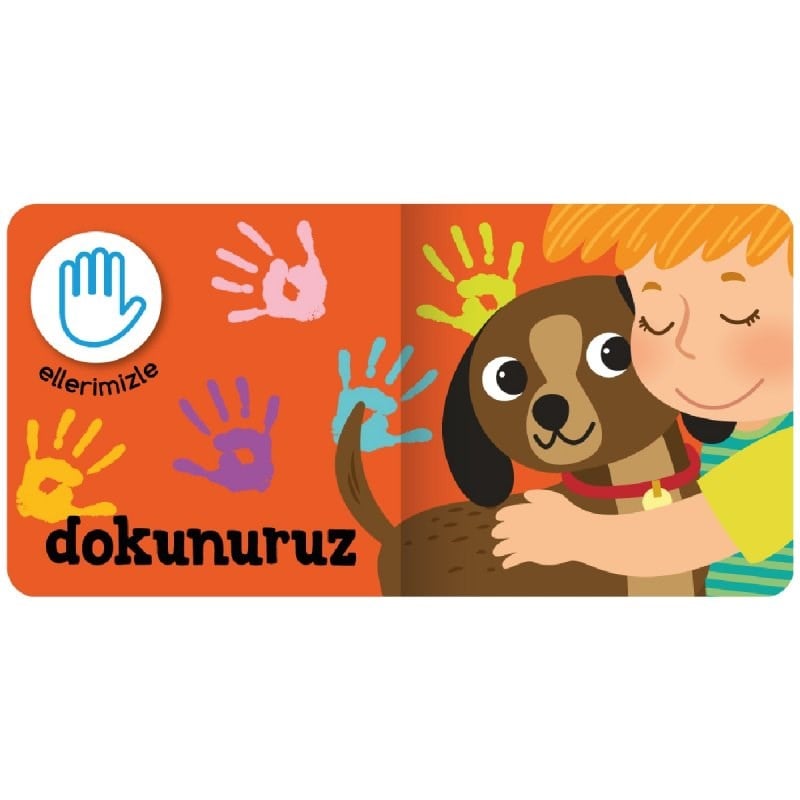 Minik Kitaplar Beş Duyu