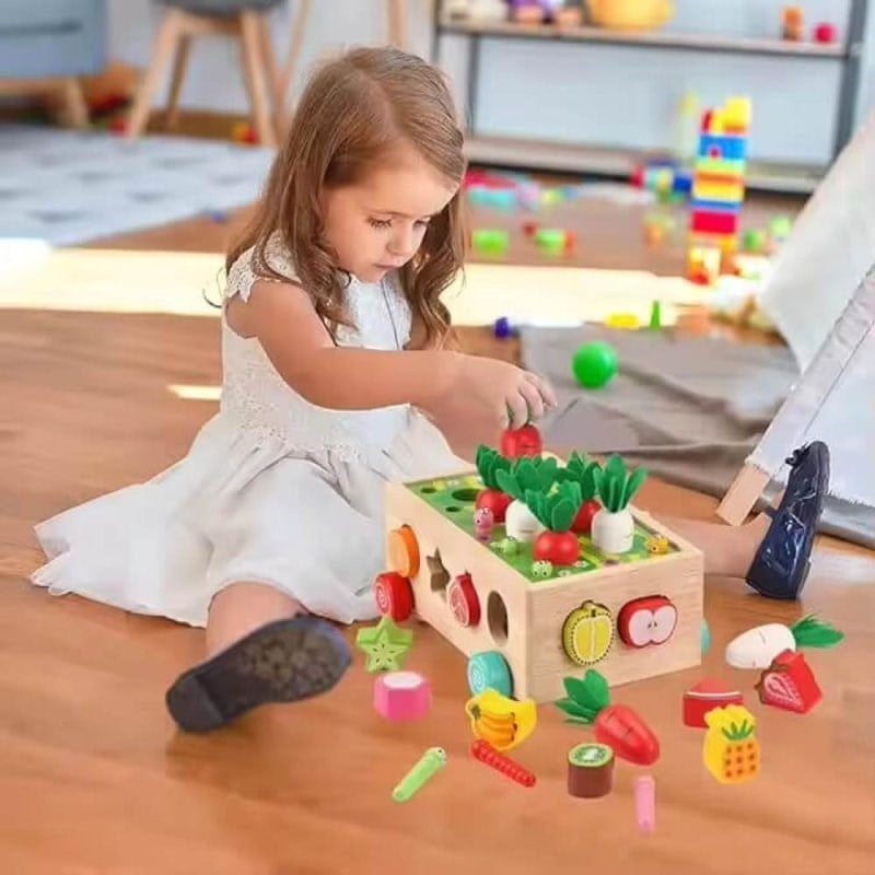 Robokids Montessori Ahşap Sebze Ve Meyve Eşleştirme Oyunu - Rbkds63