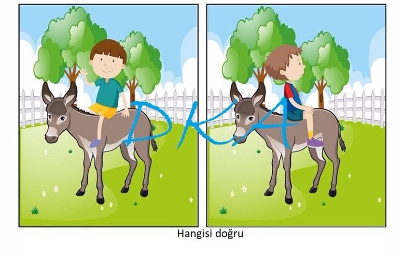 Speech Academy Doğru Yanlış Kartları