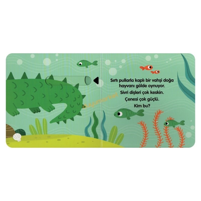Sürgülü Kitap Vahşi Doğada Yaşam