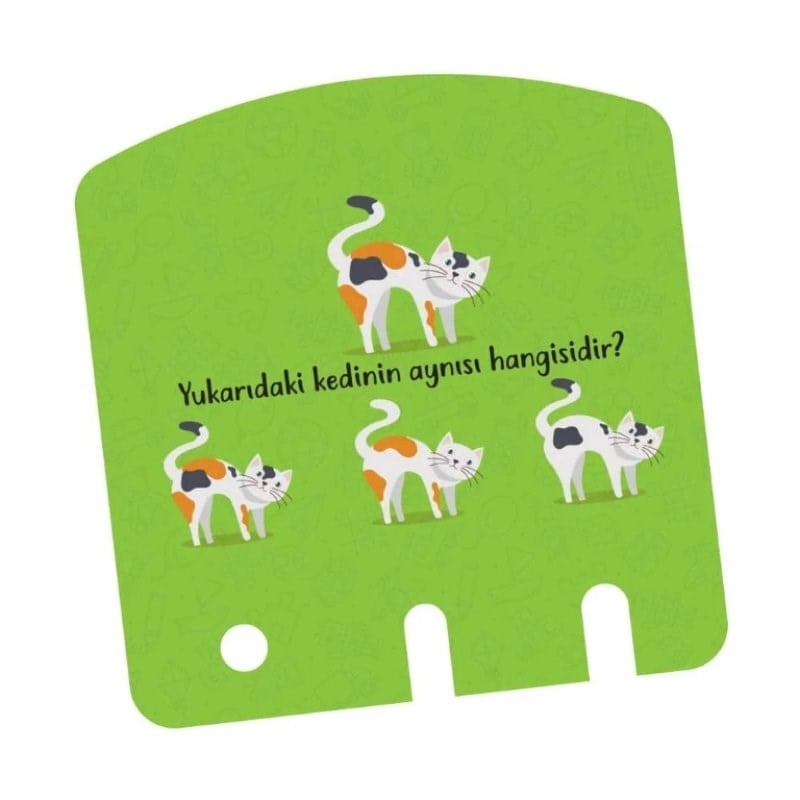 Yükselen Zeka Zeka Kutusu 16-24 Ay