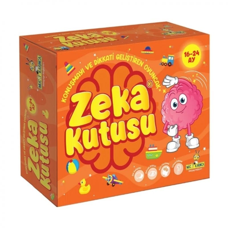 Yükselen Zeka Zeka Kutusu 16-24 Ay