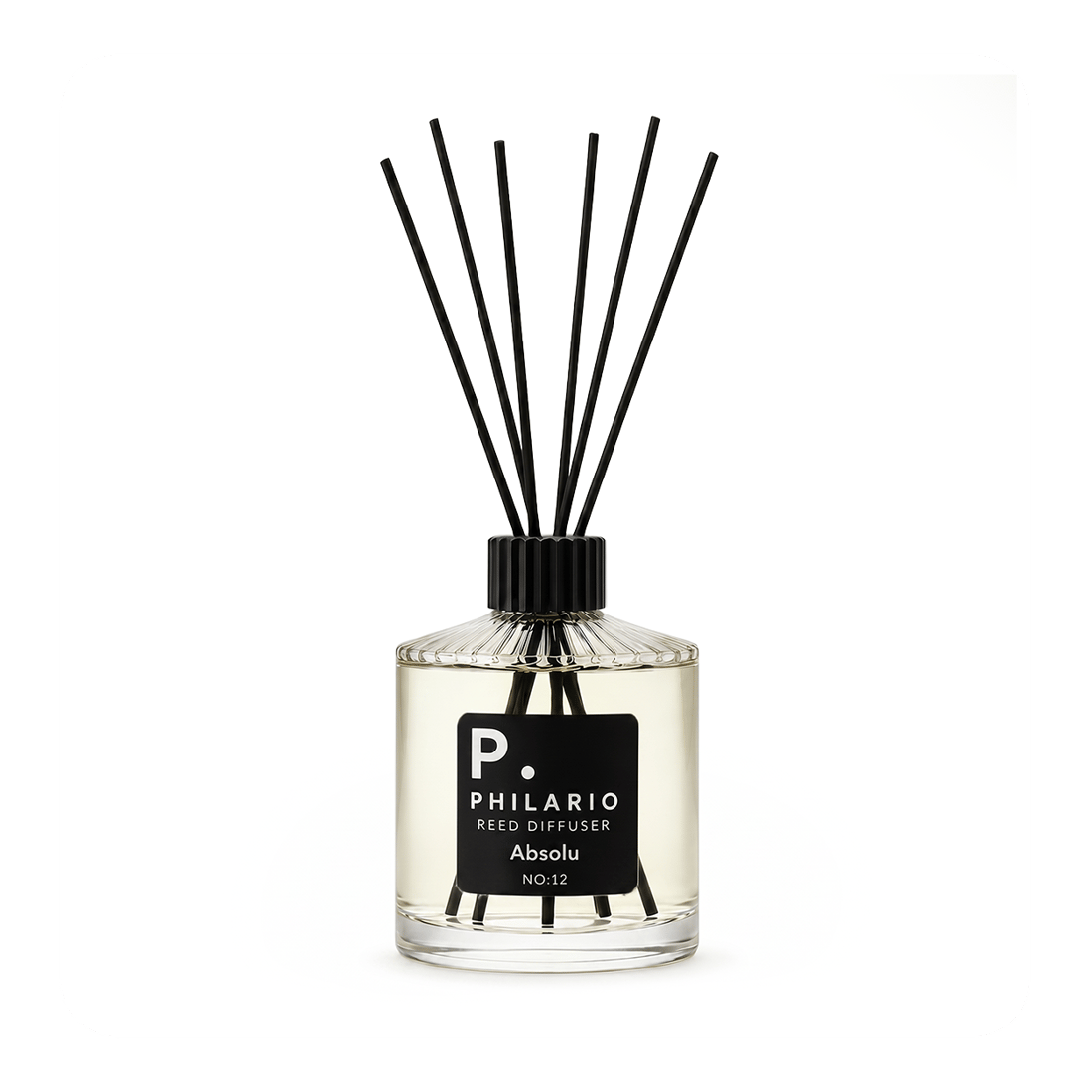 ABSOLU NO: 12