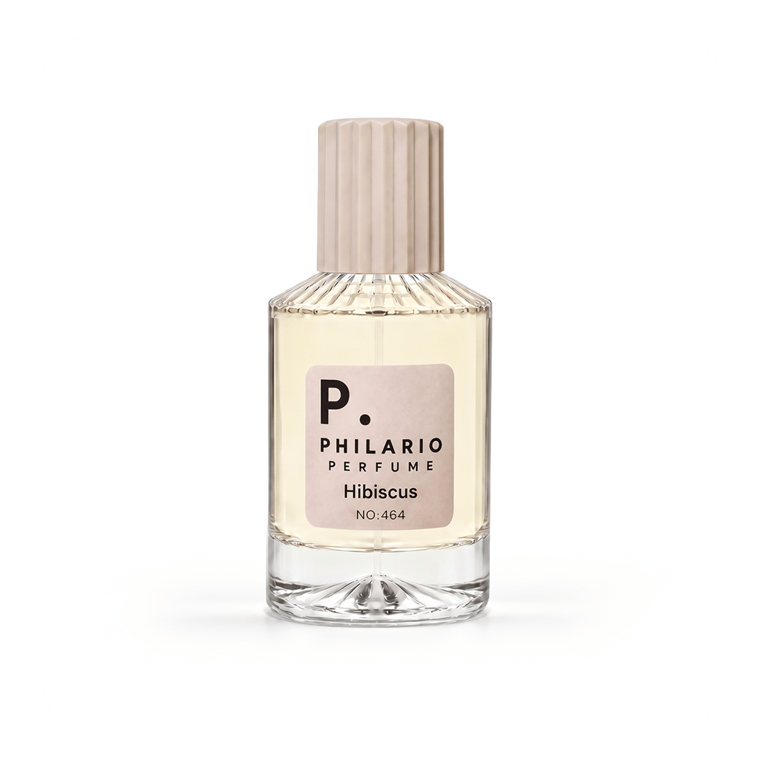HIBISCUS UNISEX NO:464