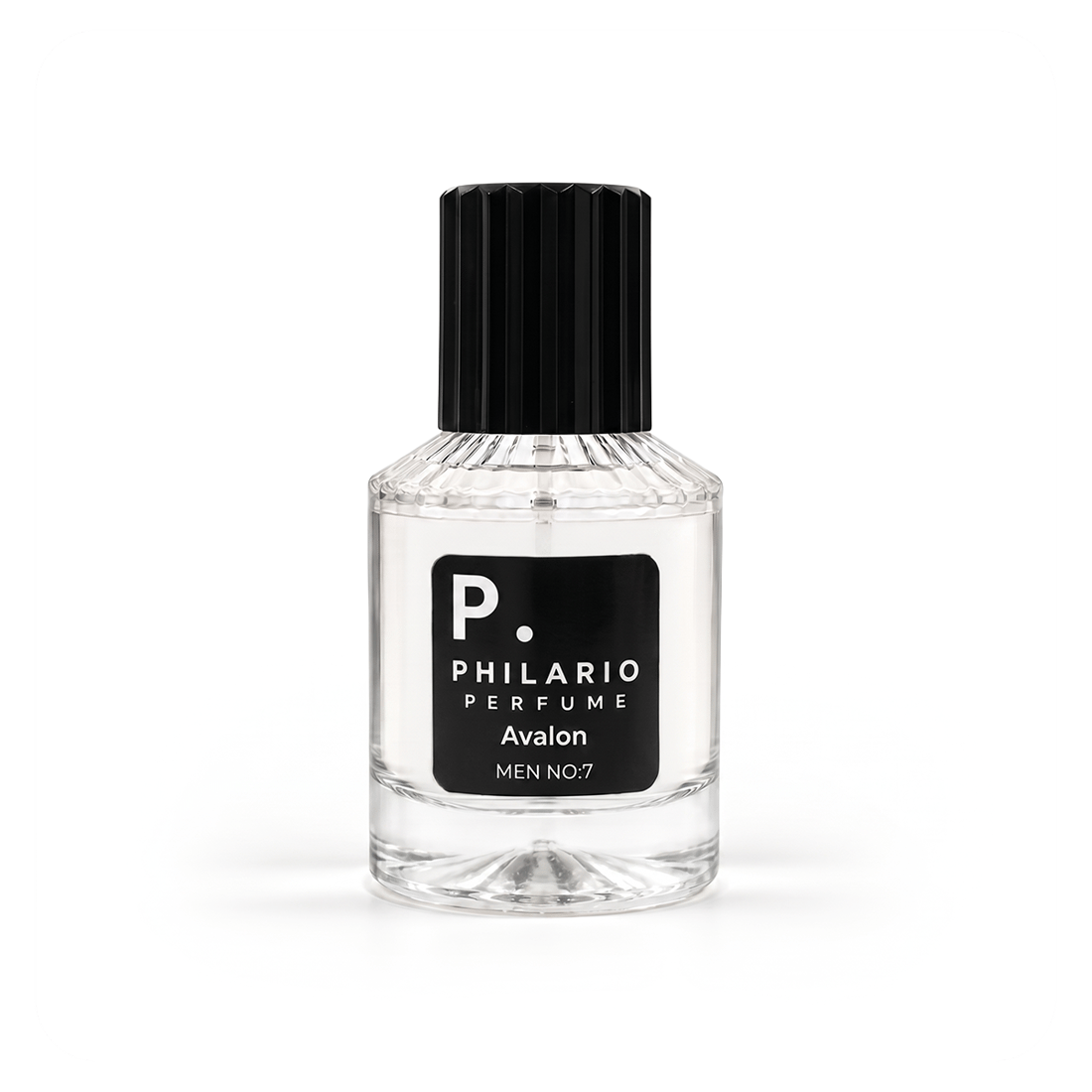 PHILARIO  Avalon  MEN NO:7