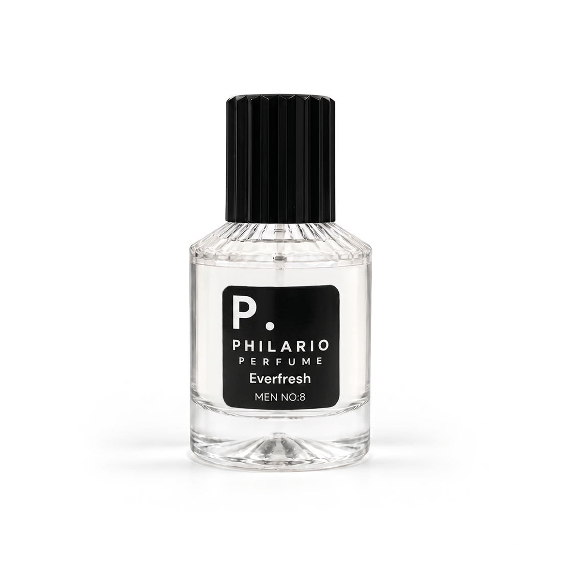 PHILARIO  Everfresh  MEN NO:8