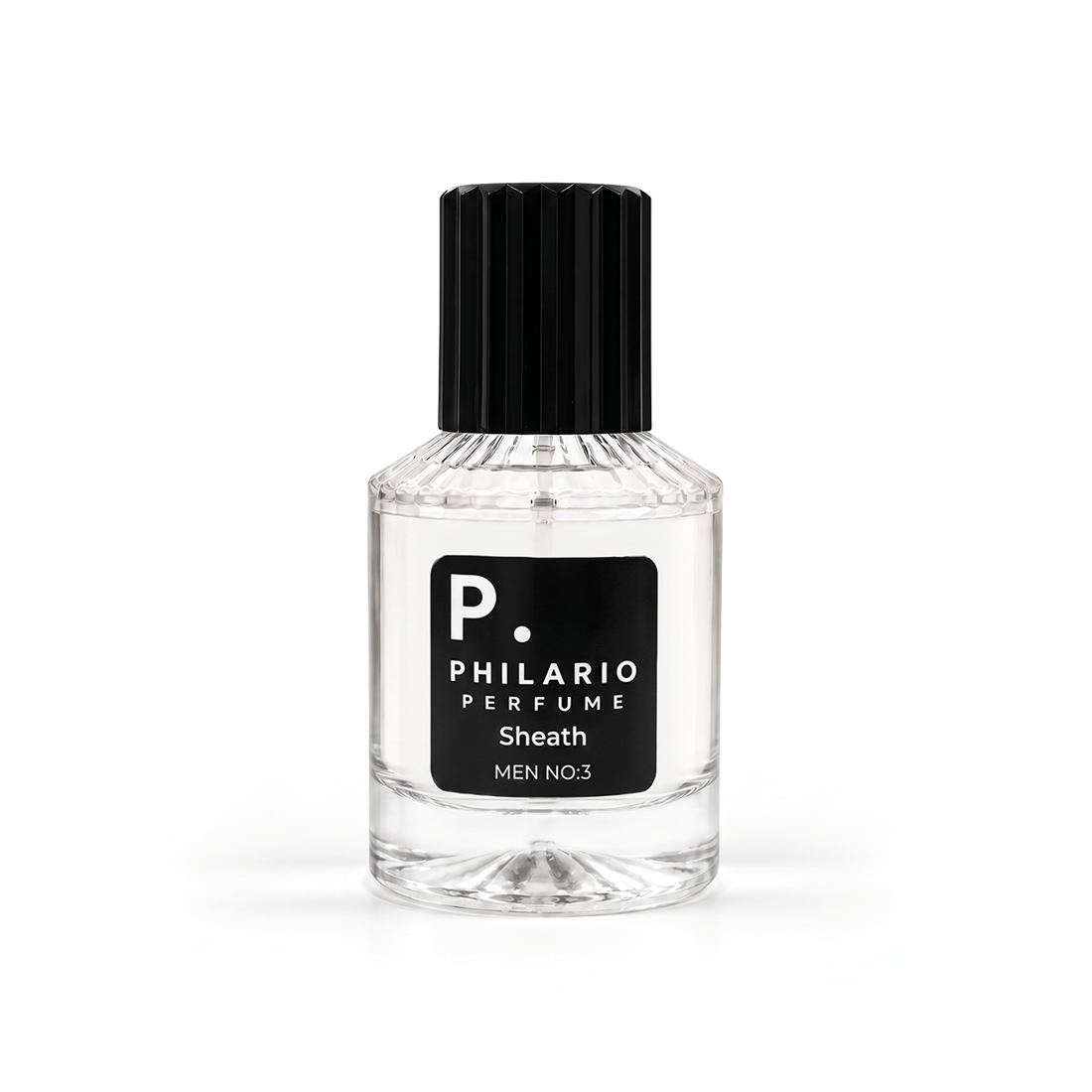 PHILARIO  Sheath  MEN NO:3