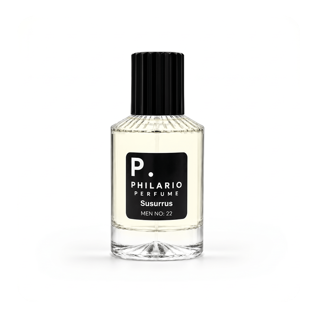 philario-susurrus-men-no22-9-afed.png