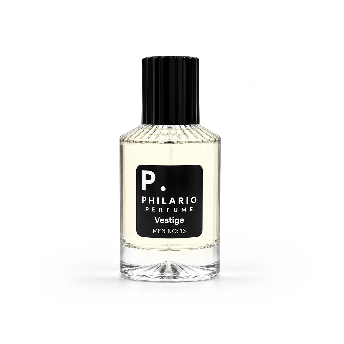 philario-vestige-men-no13-2d-99f.png