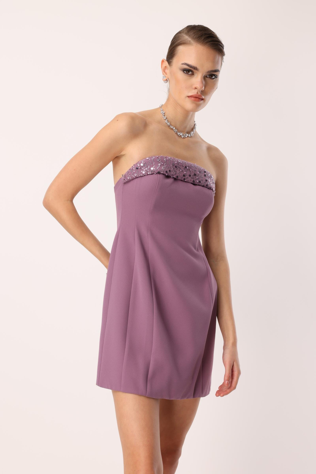 Yaka İşleme Detaylı Mini Elbise MOR