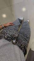 Midors Leopar Desenli Jean