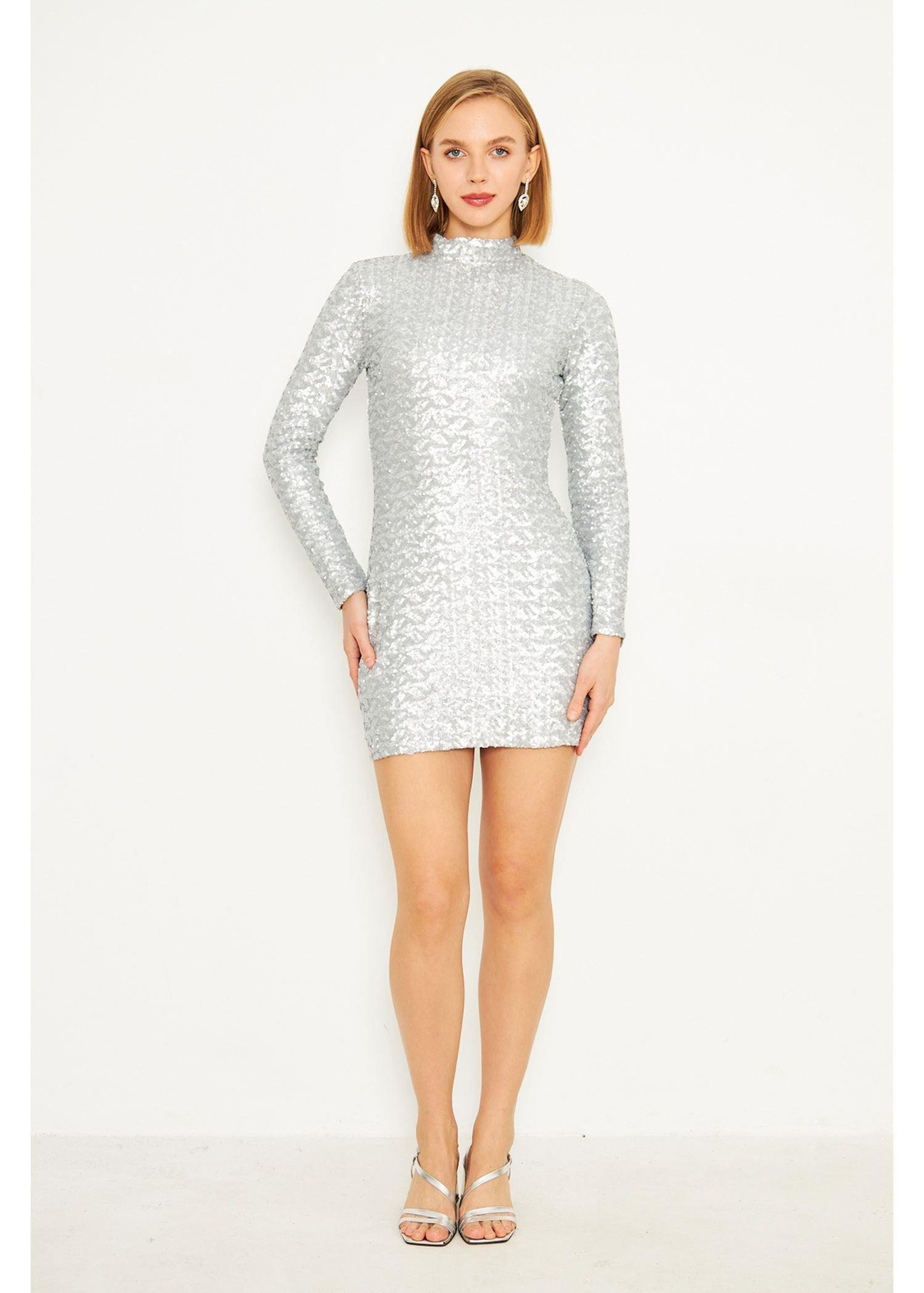 Hakim Yaka Gümüş Pul Payet Elbise