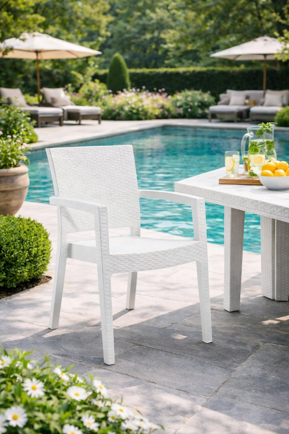 Novussi R006 Paris Rattan Koltuk Sandalye Beyaz | ID1219