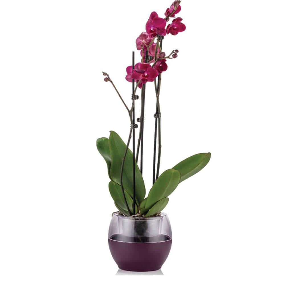 Poliwork BLSK Buule Dekoratif Bitki Saksısı 2 Litre | ID5746